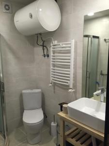 ein Badezimmer mit einem WC, einem Waschbecken und einem Spiegel in der Unterkunft Ski Resort Bakuriani in Bakuriani