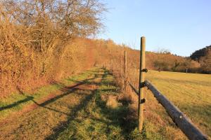 um poste num campo ao lado de uma cerca em Ferienwohnung Klimek em Michelstadt