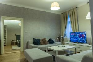 プラハにあるExclusive 3 Bedroom Top-Notch Flat, GREAT LOCATIONのリビングルーム(ソファ、テレビ付)