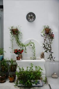 A garden outside El Granado Hostel