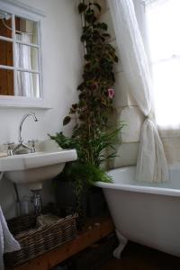 La salle de bains est pourvue d'un lavabo et d'une baignoire avec une plante. dans l'établissement Chambres d'Hôtes Villa Gael, à Angoulême