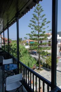 Foto dalla galleria di Elli Hotel a Skopelos Town