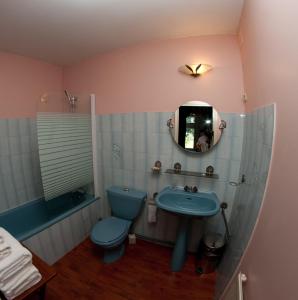 a bathroom with a blue toilet and a sink at Château de Lastours in Valence-dʼAgen