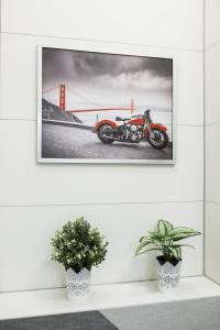 Fotografia z galérie ubytovania Premium Apartment with free private parking Toruni