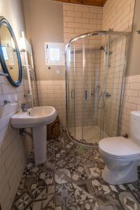 a bathroom with a shower and a toilet and a sink at Lampreiko in Synikia Mesi Trikalon