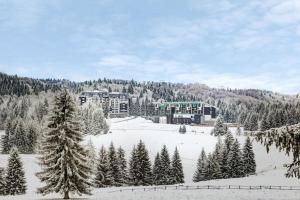 pokryte śniegiem pole z budynkiem i drzewami w obiekcie Silver Poiana Brasov Ap 41 w mieście Poiana Brașov