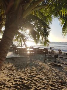 Gallery image of Hotel La Palapa in Tamarindo