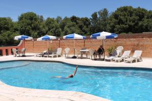 una persona está nadando en una piscina en Hotel Del Parque, en Tequisquiapan