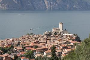 a town on a hill next to a body of water at Bikeapartments Appartamenti Laura & Jasmin in Malcesine