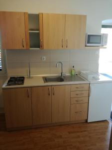 Kuchyň nebo kuchyňský kout v ubytování Apartman Ante