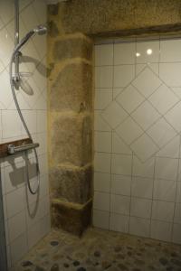 Saint-Quay-PerrosにあるLA FERME des DAIMSの石壁のバスルーム(シャワー付)
