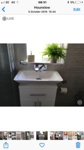 a bathroom sink with a potted plant on top of it at House in Hounslow
