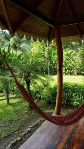 Aed väljaspool majutusasutust Ciudad Perdida EcoLodge