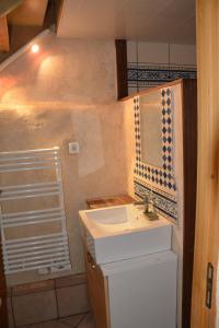 Saint-Quay-PerrosにあるLA FERME des DAIMSのバスルーム(洗面台、鏡付)