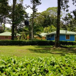 Aed väljaspool majutusasutust Ciudad Perdida EcoLodge