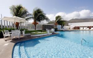 埃尔阿瓜Agua Dorada Beach Hotel By Lidotel的一个带椅子和遮阳伞的游泳池,并种植了棕榈树