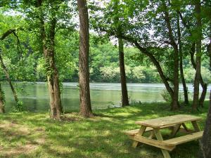 drewniany stół piknikowy siedzący obok jeziora w obiekcie Bear Bluff w mieście Rileyville