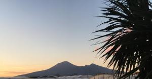 a palm tree with a mountain in the background at Valeria House in Scafati