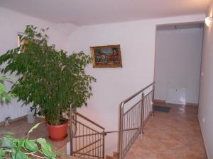 Foto dalla galleria di Rooms Zebax a Sarajevo