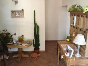uma sala de estar com um cacto, uma mesa e uma planta em Le Tartarughe rooms em Magliano in Toscana