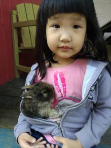 Pet ou pets ficando com hóspedes em SHYE Lithuania Homestay