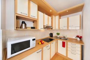 Kuchyňa alebo kuchynka v ubytovaní Apartment Labská 108 Špindlerův MLýn
