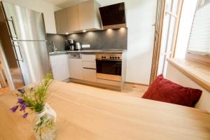 Kuchyňa alebo kuchynka v ubytovaní Aparthotel Steger Wagrain