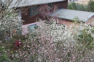 Zahrada ubytování Old Farmer Homestay