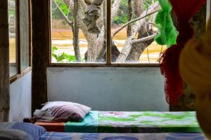 ein Fenster in einem Zimmer mit einem Bett und einem Baum in der Unterkunft Lobo Hostel - Rurrenabaque in Rurrenabaque