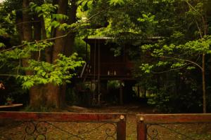a tree house in the middle of a forest at Cabaña Los Alcanfores in Tigre