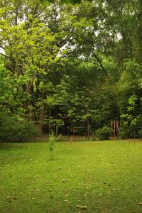 un árbol en un campo con un patio de recreo en el fondo en Cabaña Los Alcanfores en Tigre