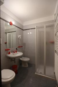 a bathroom with a shower and a toilet and a sink at Da Cecilia in Bognanco