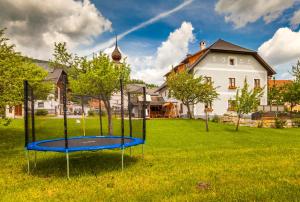 a playground with a blue trampoline in a yard at Ferienwohnungen Flattnerhof in Mauterndorf