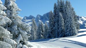 Andrea Schmaranzer - Privatzimmer im Winter