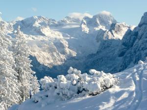 Andrea Schmaranzer - Privatzimmer im Winter