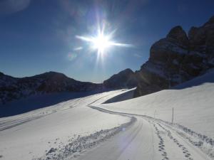 Andrea Schmaranzer - Privatzimmer im Winter
