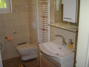 łazienka z toaletą i umywalką w obiekcie Villa Mandarina w miejscowości Mali Lošinj
