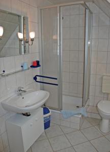 BlieschowにあるFerienwohnungen Lancken_Granitzのバスルーム(シャワー、洗面台、トイレ付)