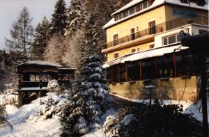 Landhaus Waldfrieden v zime