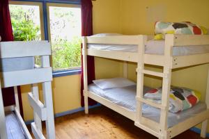 two bunk beds in a room with a window at Apollo Bay Backpackers in Apollo Bay