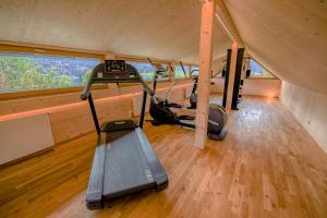 a gym with two treadmills and a treadmill at Ferienhof Obergasser und Bergblick in Weissensee