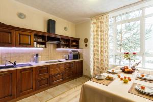 a kitchen with wooden cabinets and a large window at Villa Nova in Tatariv