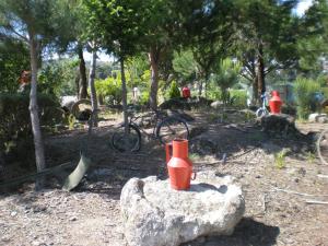 Um jardim no exterior de Quinta Formosa