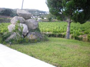 Um jardim no exterior de Quinta Formosa