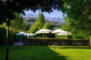 エルバスにあるHospedería Valle del Ambrozの山を背景にした庭の白傘3本