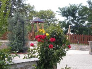 Zahrada ubytování Hotel Pelion Resort