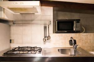 eine Küche mit Herd, Spüle und Mikrowelle in der Unterkunft Mono Verde in Turin