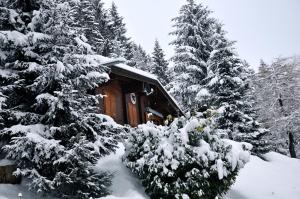 Chalet Edelweiss durante l'inverno