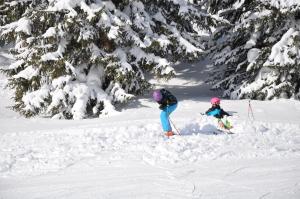 Chalet Edelweiss durante l'inverno