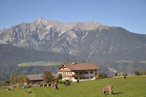Paesaggio naturale nelle vicinanze dello chalet